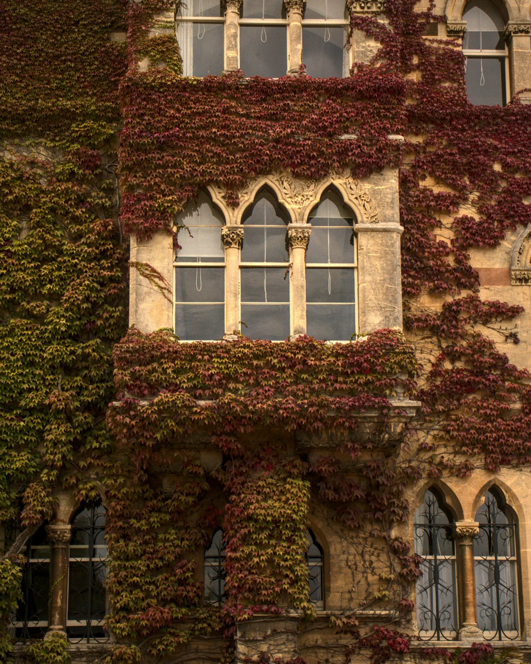 Detail of a historic ivy-clad stone building